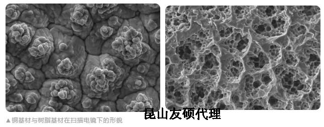 定安蔡司定安扫描电镜