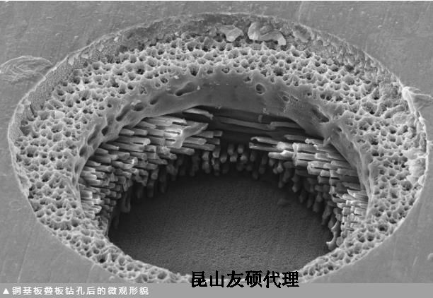 定安蔡司定安扫描电镜